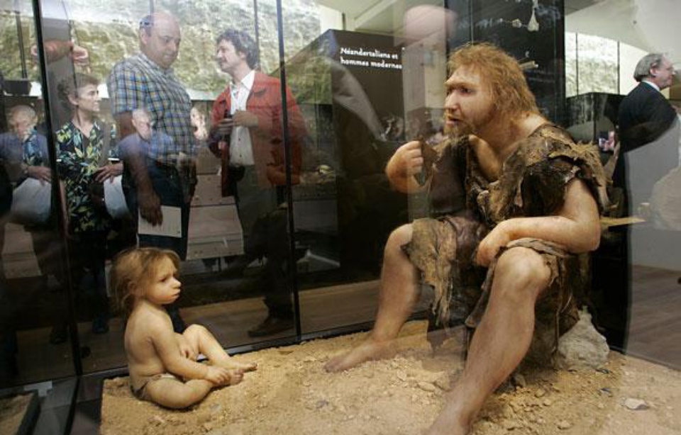 Pourquoi L Homme De Néandertal A Disparu Le chromosome Y de l'homme de Néandertal révèle une différence