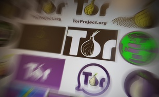 Le client Tor permet de naviguer dans les méandres du «dark Web».