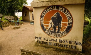 Un accès au parc national des Virunga, le 17 juin 2014 près de Rutshuru, en RDC