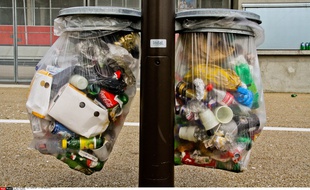 Poubelles.