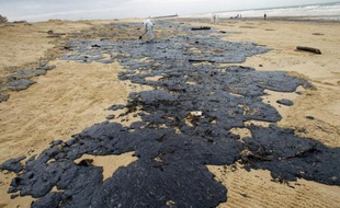 Le "graphène blanc", un nouveau matériau, souverain contre la marée noire? C'est ce qu'affirment des chercheurs qui ont testé les propriétés dépolluantes du nitrure de bore, capable d'absorber 33 fois son poids en pétrole ou solvants organiques tout en flottant à la surface de l'eau.