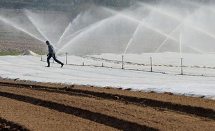 La préfecture de l'Hérault a annoncé vendredi des premières mesures de restriction de l'usage de l'eau en raison "d'un déficit pluviométrique de 90% par rapport à la normale sur la période 1971-2000", avec des cours d'eau "aux débits proches de ceux observés en juin et juillet".