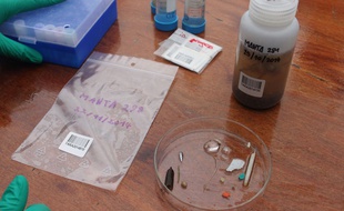 Un prélèvement de micro déchets plastiques réalisé sur le voilier Tara, le 22 novembre 2014 à Lorient.