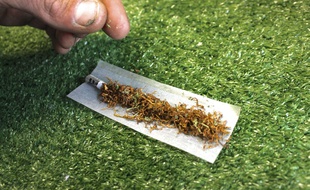 Un individu prépare un joint de cannabis.