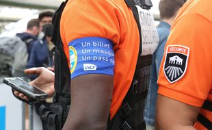 Le contrôle du pass sanitaire dans certains trains est en place depuis le 9 août dernier.