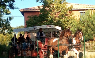 La mairie de Saint-Selve (Gironde) a mis en place un ramassage scolaire en hippobus