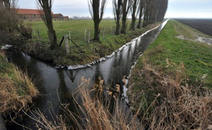 Les wateringues, ensemble d'ouvrages permettant de rejeter les eaux pluviales vers la mer, dans la zone des polders à Les Moëres près de Dunkerque (Nord), le 27 janvier 2010