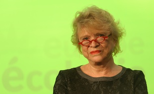 Paris le 05 janvier 2012, portrait d'Eva Joly eurodéputée verte.
