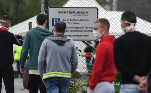 Des campagnes de dépistage ont été organisées en Allemagne après la découverte de nouveaux foyers de contamination.