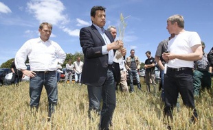 Sept candidats à l'Elysée, dont les deux favoris, François Hollande et Nicolas Sarkozy, sont attendus jeudi à Montpellier à l'invitation du monde rural pour exposer leurs propositions sur ce secteur "stratégique" pour la France.