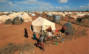 Près de 500 000 personnes vivent dans les cinq camps de la région de Dadaab.
