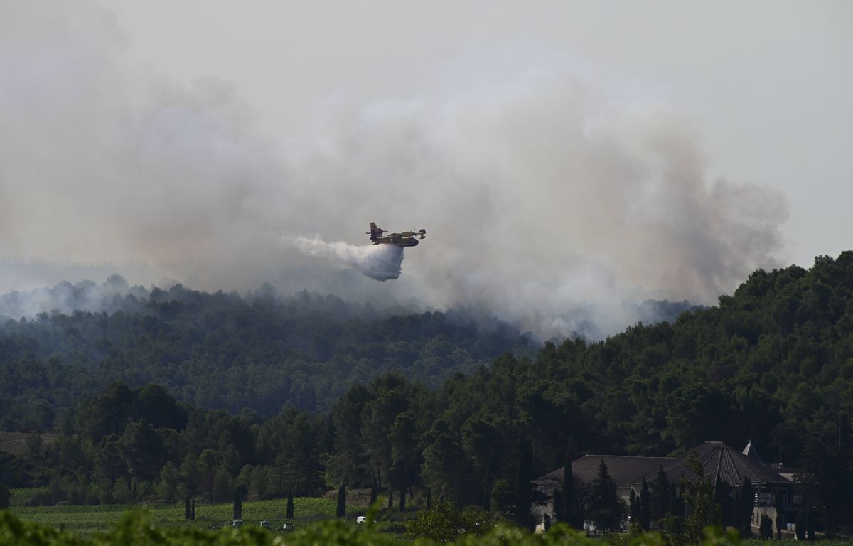 Feux de forêt : Les gros incendies de forêt qui ont frappé la France
