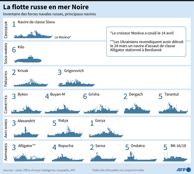 Inventario della flotta russa del Mar Nero per tipo di navi. 