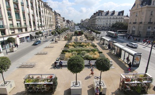 A Rennes, le sujet de la nature en ville s'est imposé comme l'un des thèmes majeurs de l'élection.