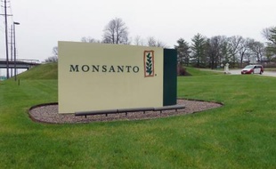 Le siège de Monsanto le géant américain des semences à Saint-Louis (Missouri)