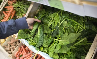Illustration alimentation biologique dans magasin./LODIFRANCK_1752.07/Credit:Franck LODI/SIPA/1412171801