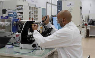 Le laboratoire pharmaceutique britannique AstraZeneca a annoncé lundi que son vaccin en cours de mise au point contre le Covid-19 entraînait une réponse immunitaire encourageante de la part des jeunes adultes et des personnes âgées.