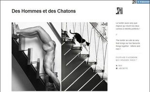 Le Tumblr «Des hommes et des chatons».