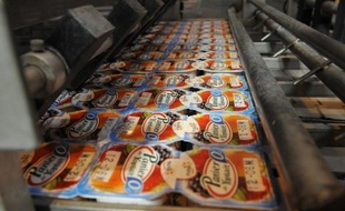 Le deuxième fabricant de produits laitiers Yoplait, à la recherche d'un repreneur partiel, semble privilégier le géant suisse Nestlé qu'il a qualifié de "candidat idéal" pour développer la société, quelques jours après avoir rejeté l'offre du français Lactalis.