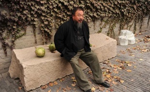 L'artiste contestataire Ai Weiwei a déclaré mercredi que son combat contre le fisc "montre au monde le système" en Chine, après avoir déposé juste à temps une caution pour faire appel contre un énorme redressement fiscal destiné à "le briser".