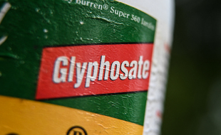 Une bouteille de pesticide contenant du glyphosate. (illustration)