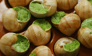 Escargots, illustration.
