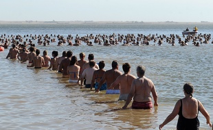 2.000 personnes se mettent à l'eau dans le lac Epecuen, dans le centre de l'Argentine, le 29 janvier 2017.