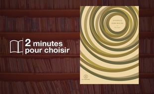 «Anguille sous roche» d'Ali Zamir (Le Tripode)