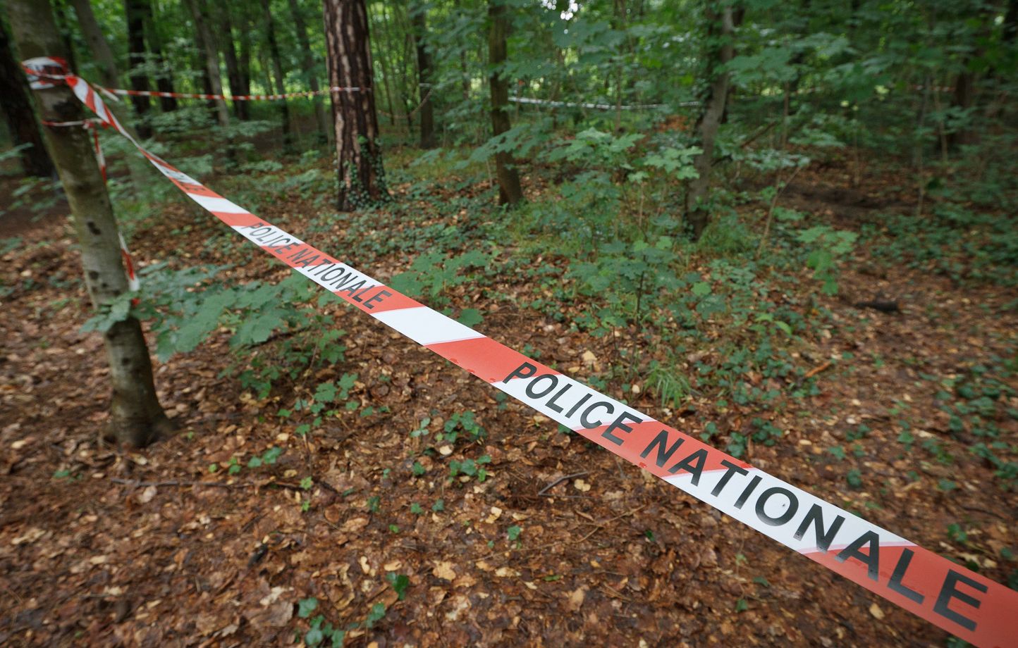 Le « prédateur du bois de Vincennes » aurait été interpellé sur son lieu de travail. (illustration)