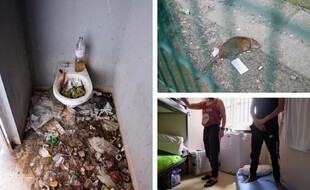 Les toilettes hommes de la cour de promenade, un rat dans cette même cour et une cellule suroccupée de la maison d'arrêt de Seysses.