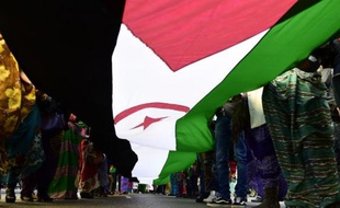 Manifestation en faveur de l'indépendance du Sahara occidental, le 16 novembre 2014 à Paris
