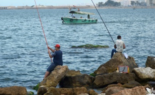 L'Egypte commence à être un pays de départ, selon le directeur de Frontex. Un nombre croissant de bateaux de pêche avec des centaines de personnes à bord ont été secourus