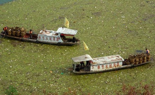 Des employés tentent de nettoyer le fleuve Yang-tsé-Kiang des nombreux détritus qui le polluent, Chine, le 1er novembre 2009.