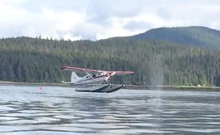 Capture d'écran d'une vidéo sur laquelle un hydravion remet les gaz au moment d’amerrir sur une baleine.