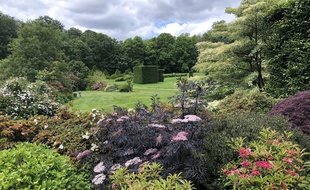 Situé près de Fougères, le jardin botanique de Haute-Bretagne et ses 25 hectares est l'un des plus grands jardins privés de France.