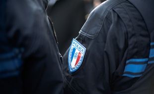 Police (illustration)