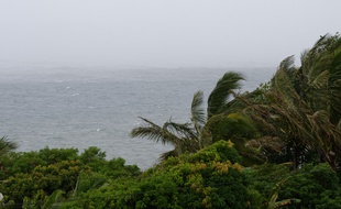 Une côte sur l'île de La Réunion (illustration).