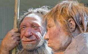 Reconstitution d'hommes de Néanderthal au Neanderthal museum de Mettmann (Allemagne), le 20 mars 2009.