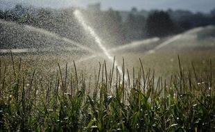 Le secteur agricole doit faire mieux pour réduire l'utilisation de pesticides, a affirmé mercredi le ministre de l'Agriculture, Bruno Le Maire, lors d'un point d'étape du plan Ecophyto dont l'objectif est de réduire de moitié, si possible, l'usage des pesticides d'ici 2018.