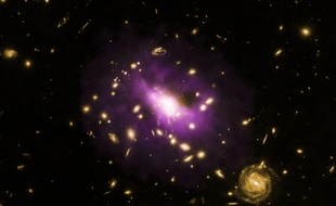 Un trou noir supermassif au centre d'un amas de galaxies.