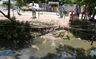 Des habitants du quartier Recreio dos Bandeirantes dans l'ouest de Rio (Brésil), le 29 janvier 2015, regardent des caïmans qui nagent dans des eaux croupissantes
