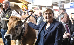 Une reine de Salon et une présidente de parti.