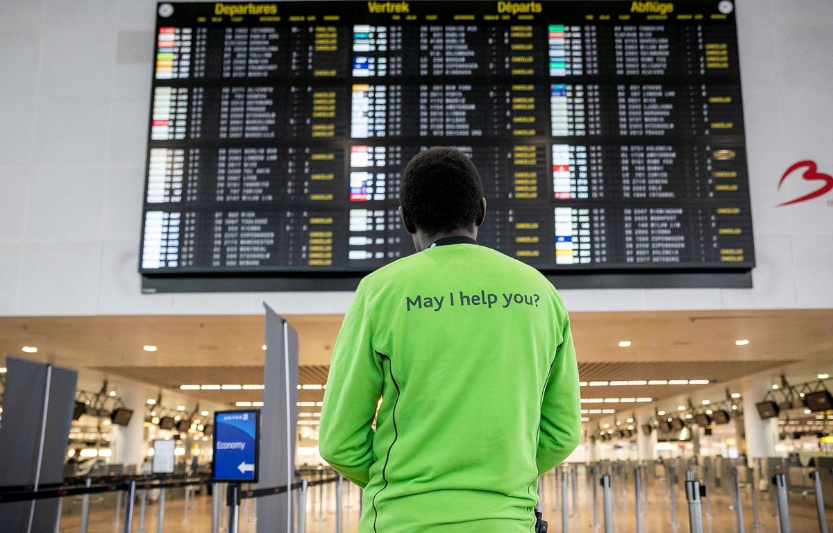 Un quota de vols en avion pour toute la vie… Loin d'être bête, dites-vous ?