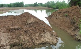 Le collectif estime que le projet endommage la zone humide, classée Natura 2000.
