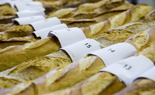 Illustration de baguettes de pain.