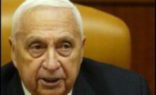 Ariel Sharon a été déclaré officiellement dans l'incapacité d'exercer ses fonctions le 14 avril, soit 100 jours après son admission à l'hôpital conformément à la législation israélienne.