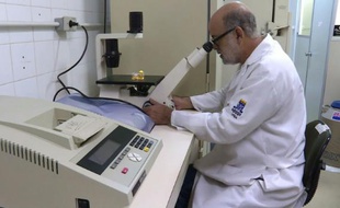 Zika: Interview du chercheur qui a identifié le virus au Brésil.