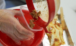 Un laboratoire allemand prépare un test ADN sur un plat de lasagnes.