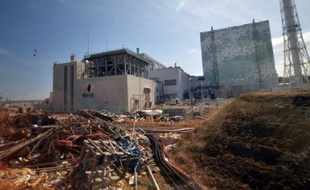 Quatre Japonais sur cinq veulent voir leur pays se détacher du nucléaire pour finir par l'abandonner complètement, selon un sondage publié dimanche, un an après la catastrophe de Fukushima.