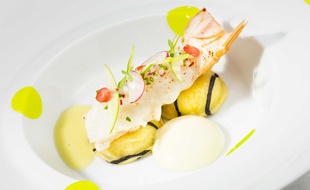 Langoustines en raviole et sa purée légère de céleri.